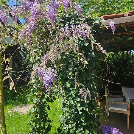 Lägenhet Laendlicher Charme Und Komfort *